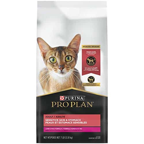10 Best Cat Food For Cats With Skin Allergies (2022 Guide)
