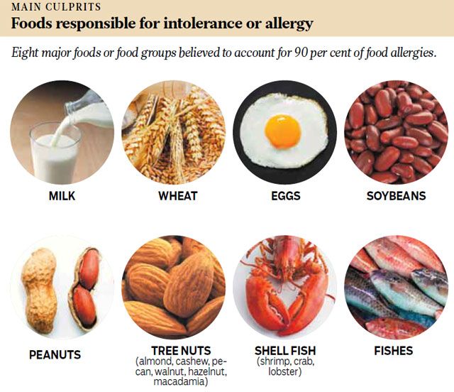 107 Best images about Kalena Food Allergy Language on Pinterest ...