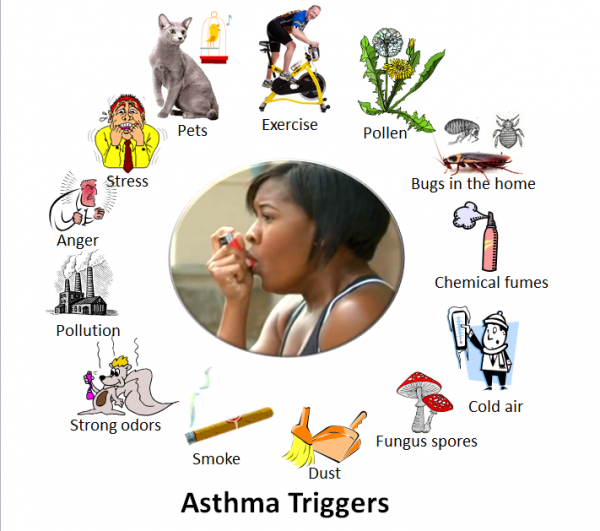 11 Americans Die From Asthma EVERYDAY
