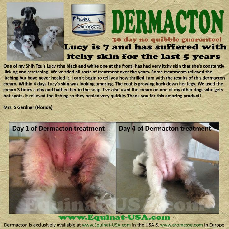 126 best images about Natural treatment Canine Dermatitis on Pinterest ...