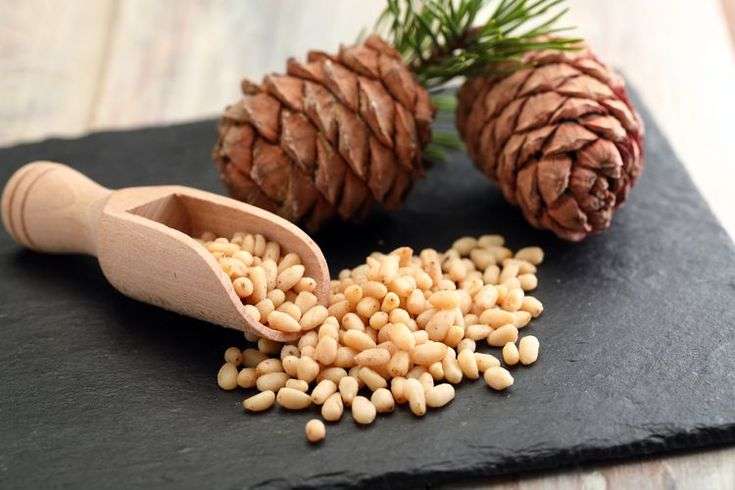 13+ Are pine nuts considered tree nuts