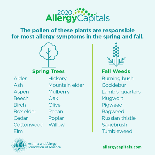 2020 Allergy Capitals Report: Seasonal Rankings by City for Spring and ...