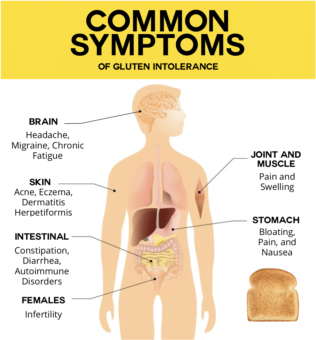 5 Common Symptoms of Gluten Intolerance â¢ Paleo Foundation