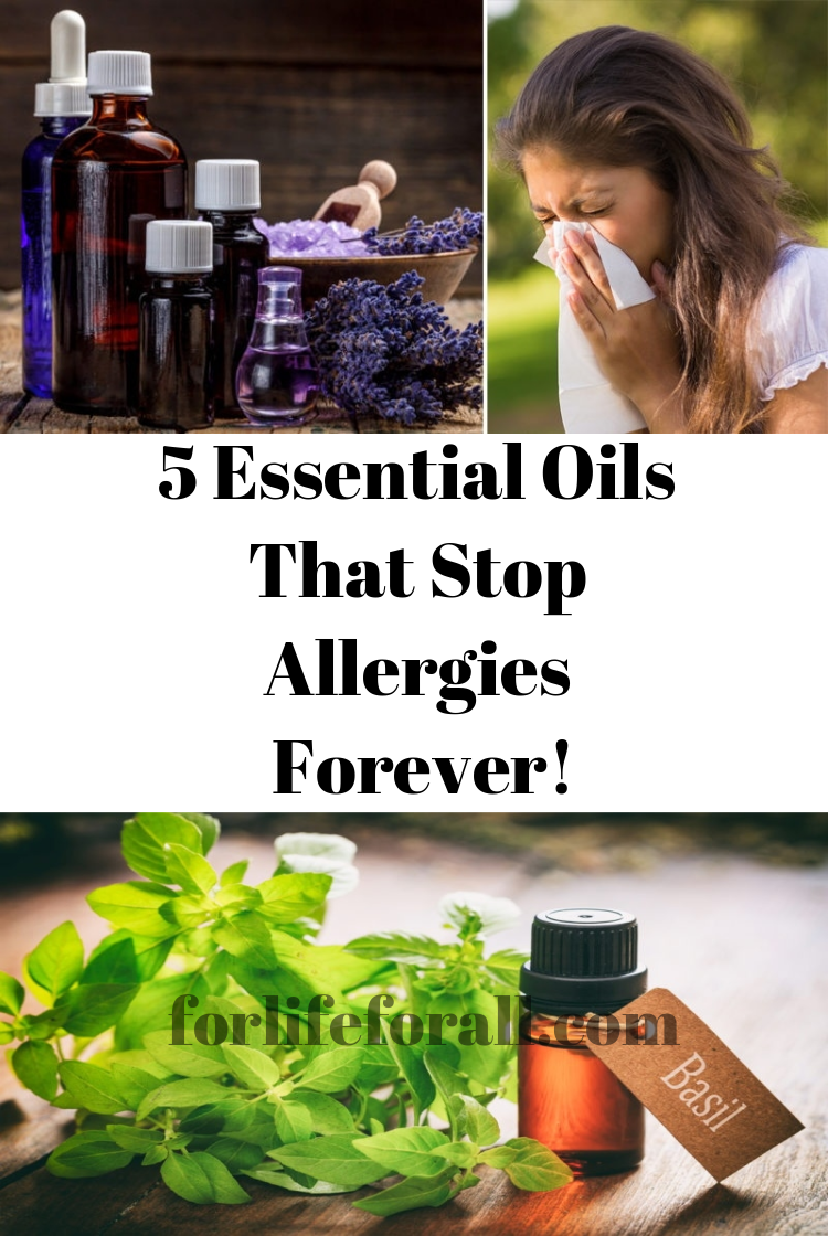 5 Essential Oils That Stop Allergies Forever!  FOR LIFE FOR ALL ...