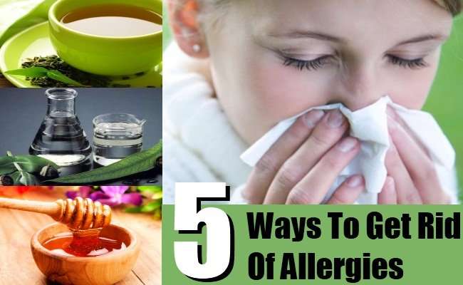 5 Simple And Easy Ways To Get Rid Of Allergies