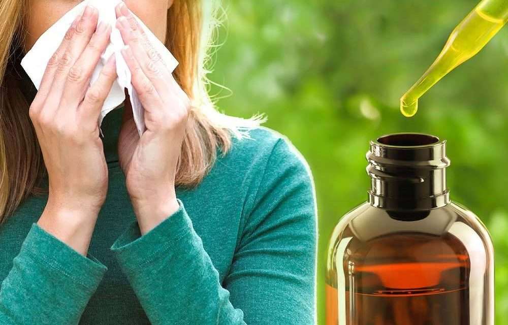5 Things You Should Know About Allergies and CBD Oil ...