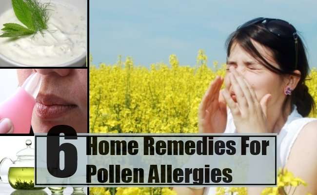 6 Effective Home Remedies For Pollen Allergies