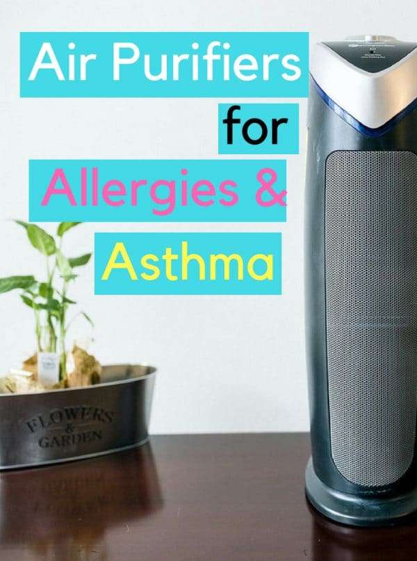 9 Best HEPA Air Purifiers for Allergies and Asthma (Dust ...
