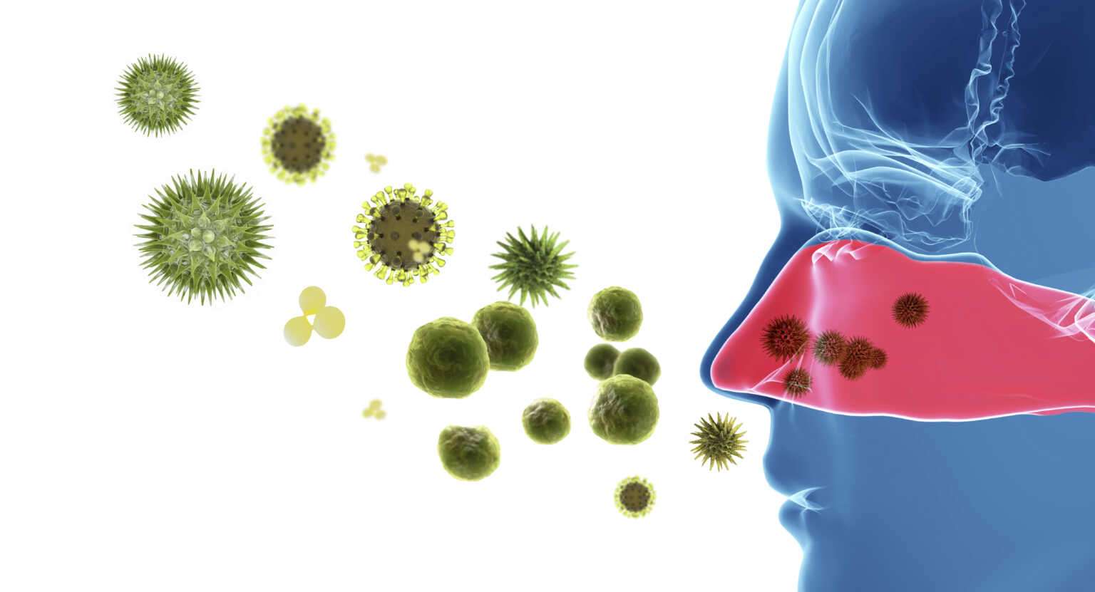 A Review on the NeilMedÂ® NasaFloÂ® Neti Pot For Allergic Rhinitis