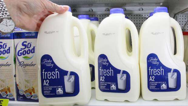 A2 milk offers hope for lactose intolerant