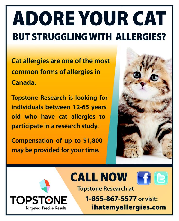 Adore your cat but struggling with Allergies?