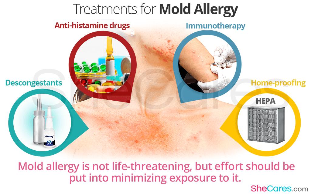 All about Mold Allergy