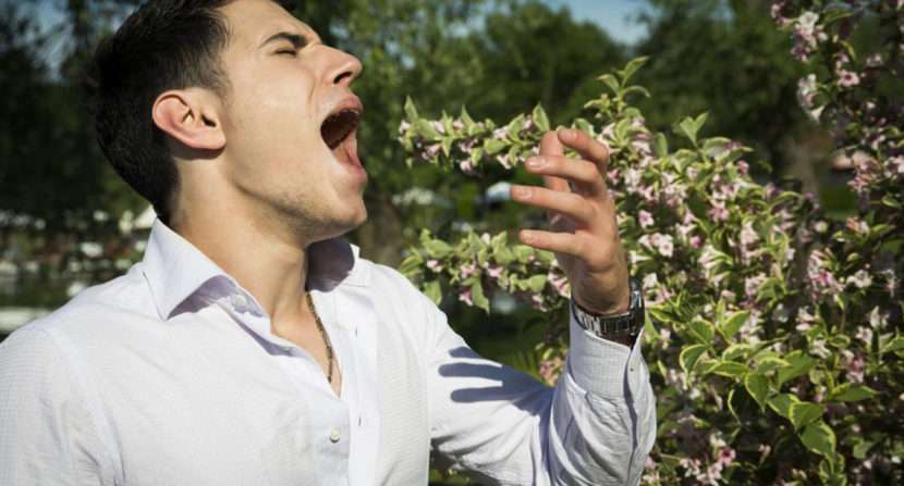 All You Need to Know about Allergy Cough Symptoms and ...