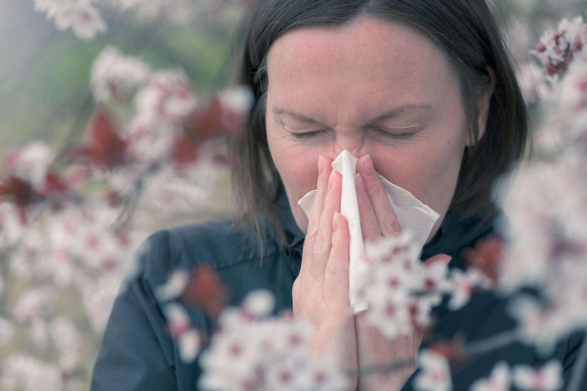 Allergic Rhinitis: Causes &  Home Remedies for Hay Fever