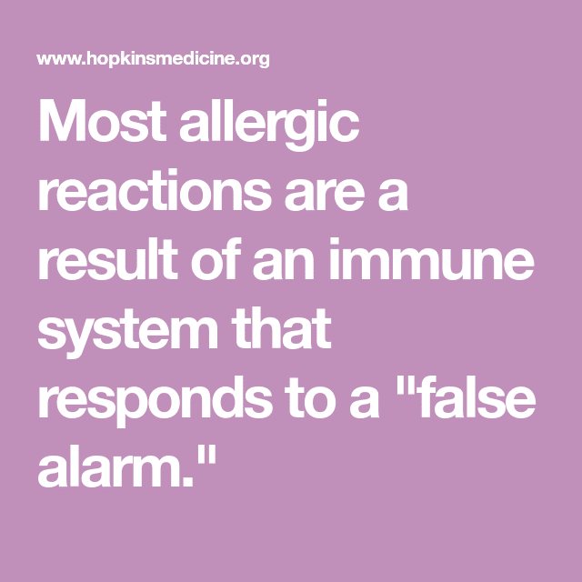 Allergies and the Immune System
