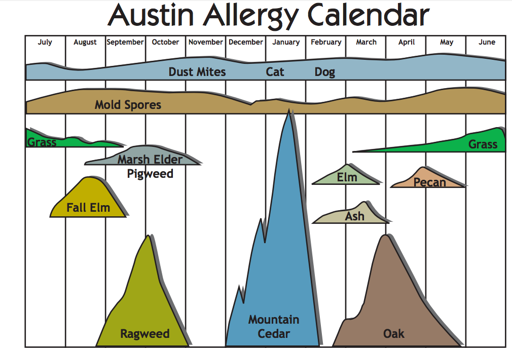 Allergies may be the cause of your Austin blues