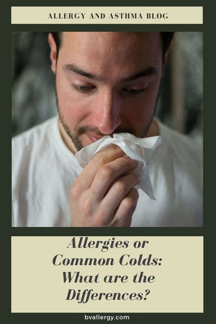 Allergies or Common Colds: What are the Differences ...