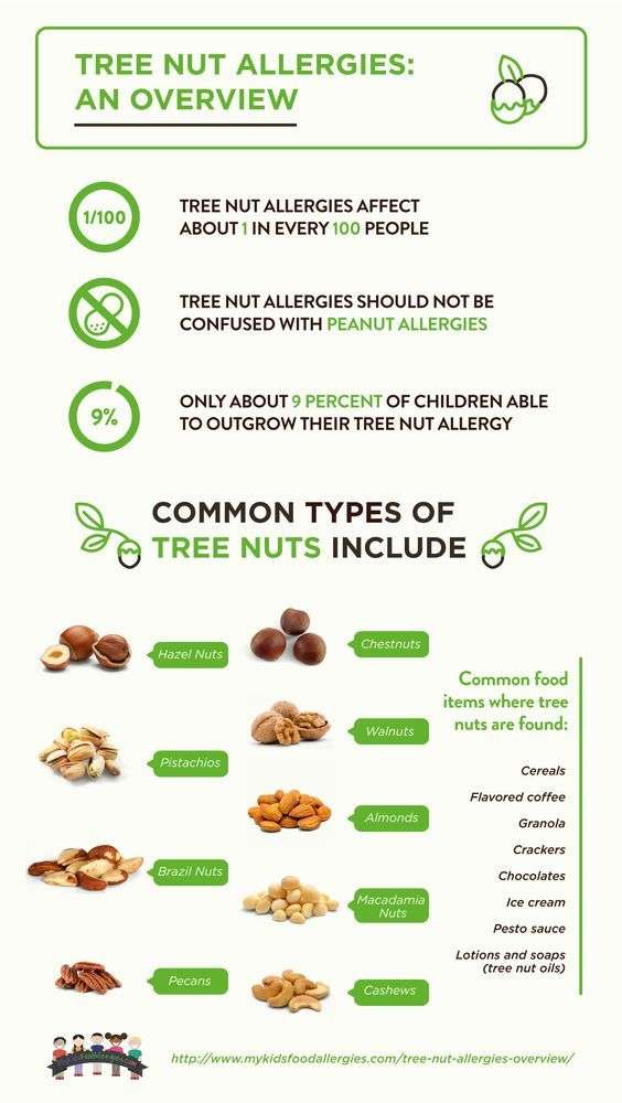 Allergy Fact Sheet Infographic Idea