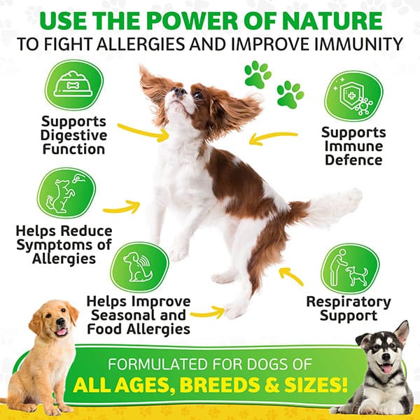 Allergy &  Itch Relief Chews Medicine for Dogs