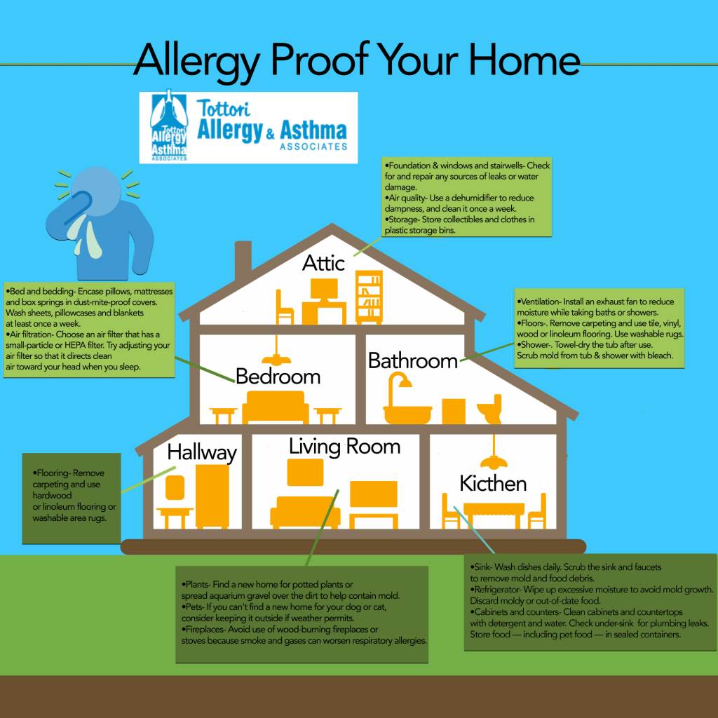 Allergy Proof Your Home