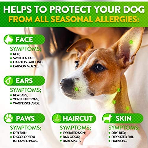Allergy Relief Immune Supplement for Dogs  Seasonal Allergies, Itch ...