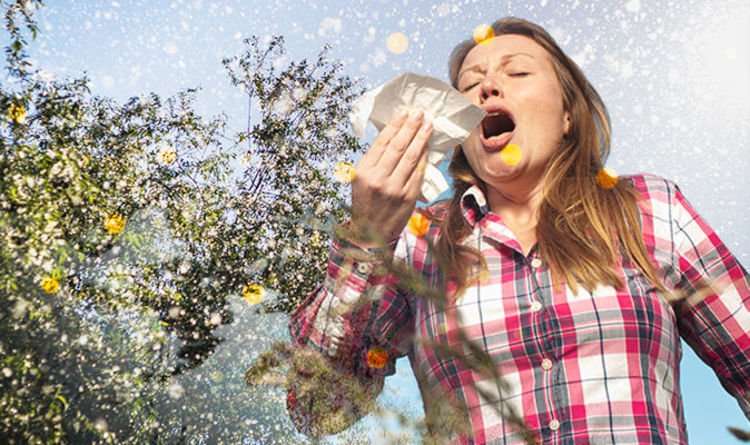 Allergy season 2018: Why is hayfever so bad this year? Why ...