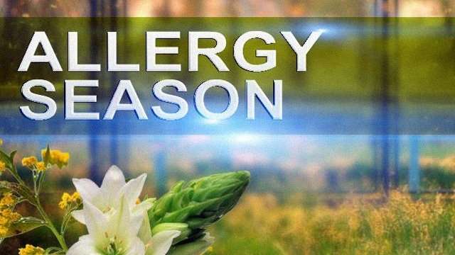 Allergy Season â WCCO