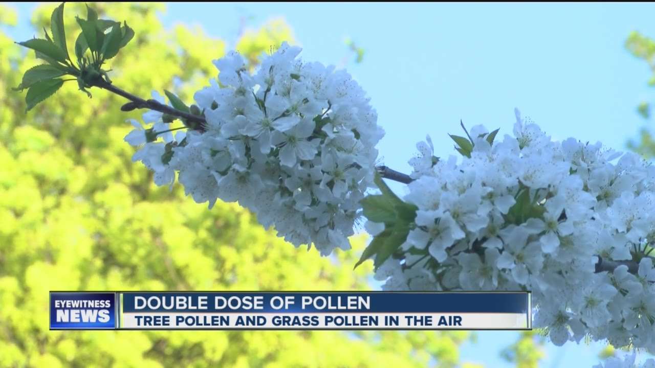 Allergy season hits Western New York