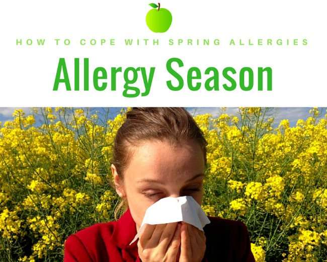 Allergy Season: How to Cope With Spring Allergies Effectively