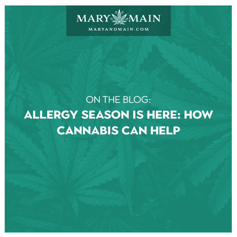 Allergy Season is Here: How Cannabis Can Help â Mary and Main