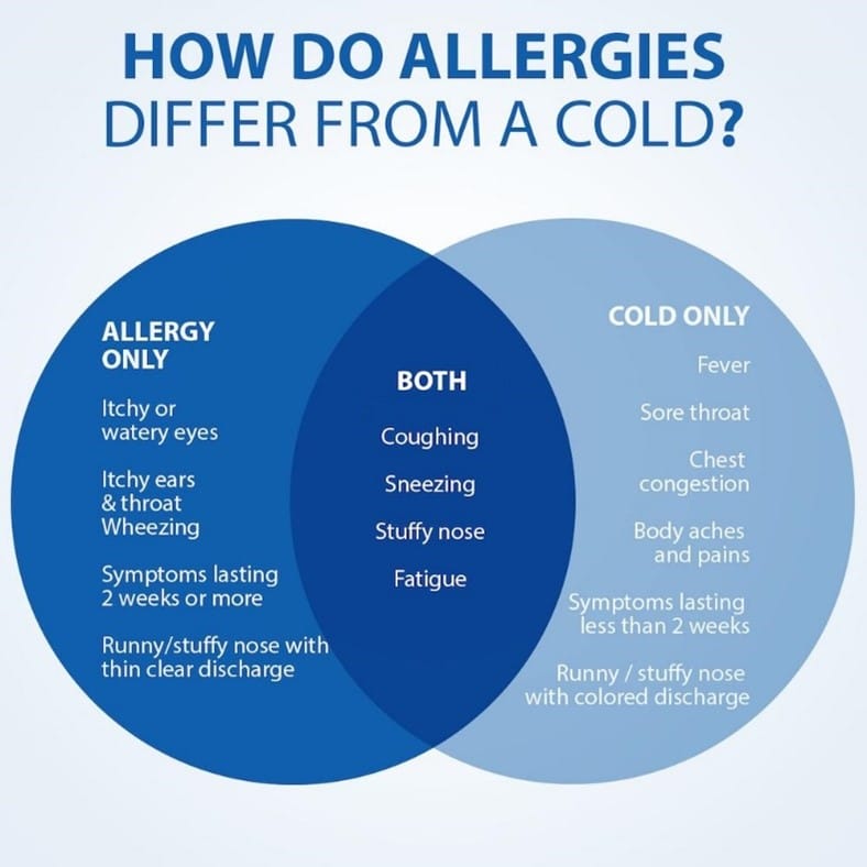 Allergy Season is Here: How to Identify and Treat Your Symptoms ...