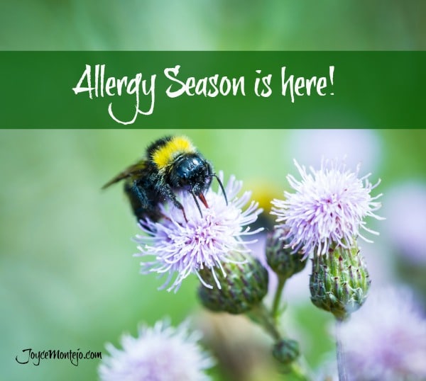 Allergy season is here in South Carolina!