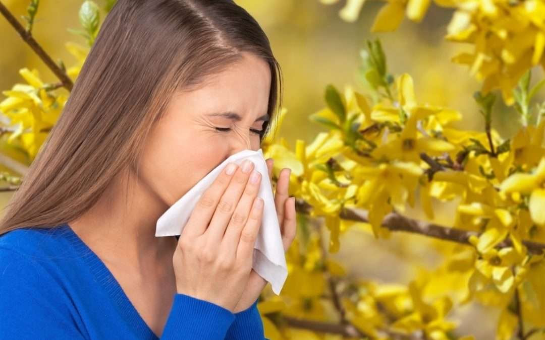 Allergy Sufferers, Try Our 30