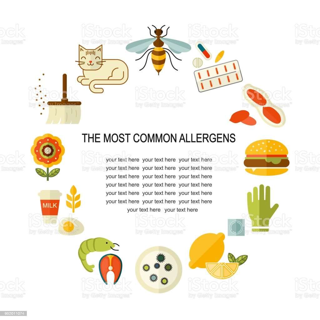 Allergy Symptoms Vector Flat Style Illustration The Most ...