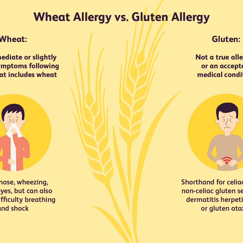 Allergy To Whole Wheat Symptoms