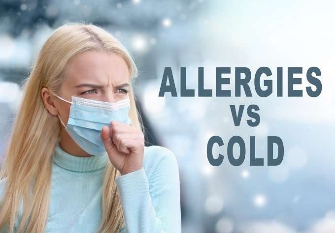 Allergy vs Cold  What Are The Differences?