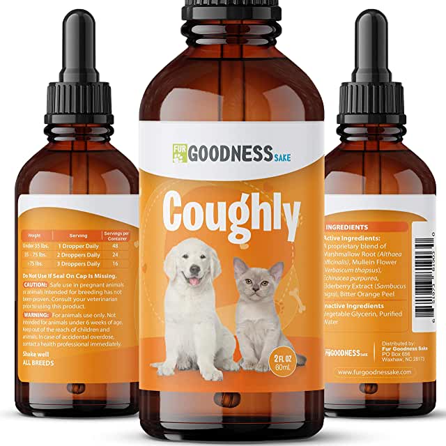 Amazon.com: Kennel Cough Treatment