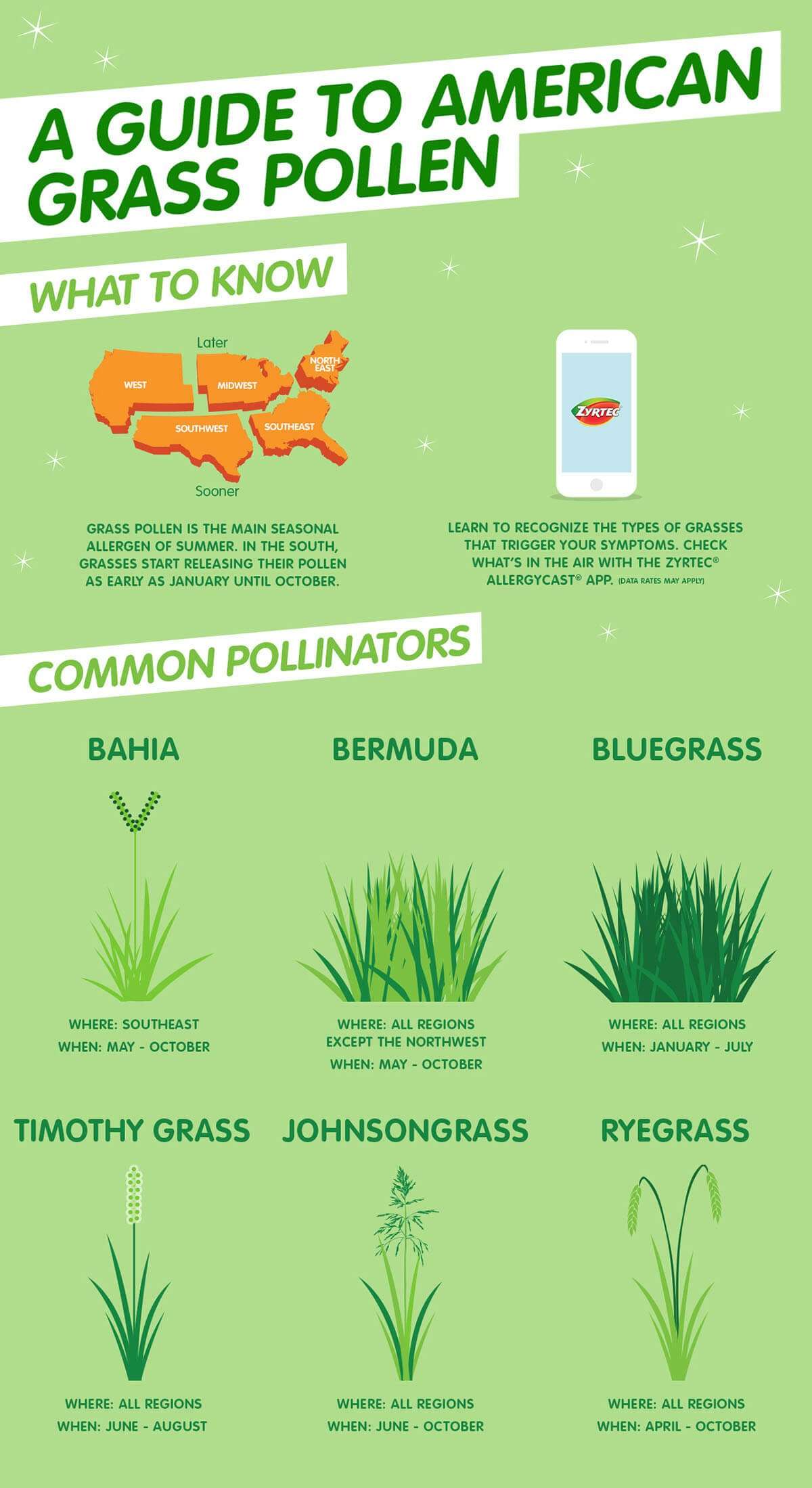 American Grass Pollen Allergy Guide