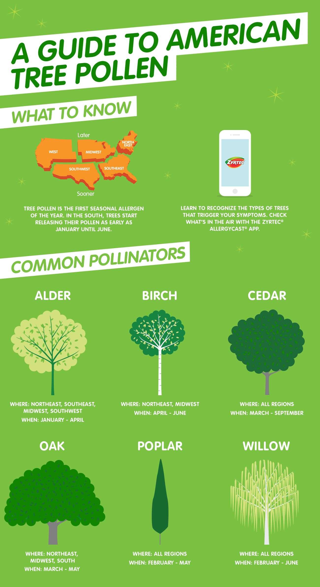 American Tree Pollen Allergy Guide