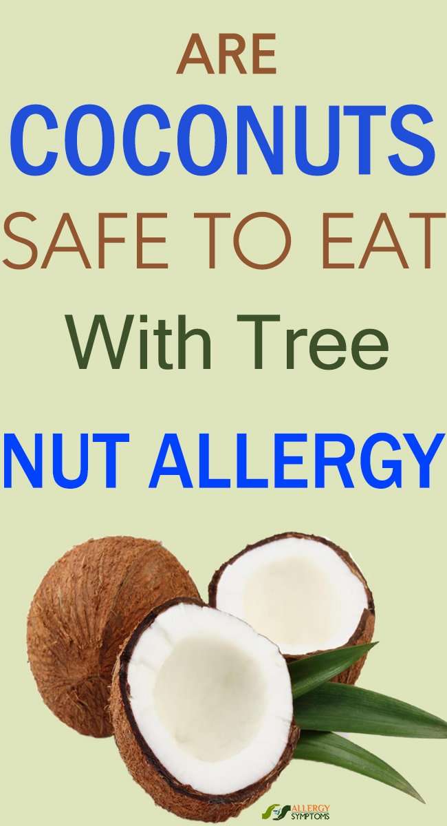 Are Coconuts Safe To Eat With Tree Nut Allergy