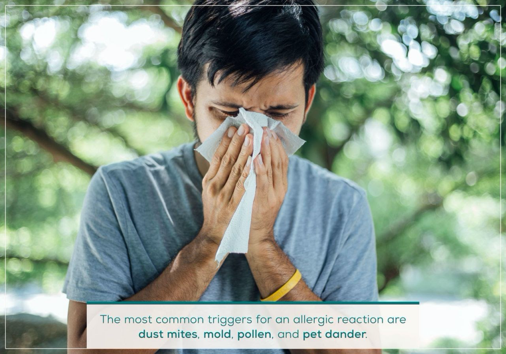 Are Your Allergies Making You Tired?  The Herb Cottage