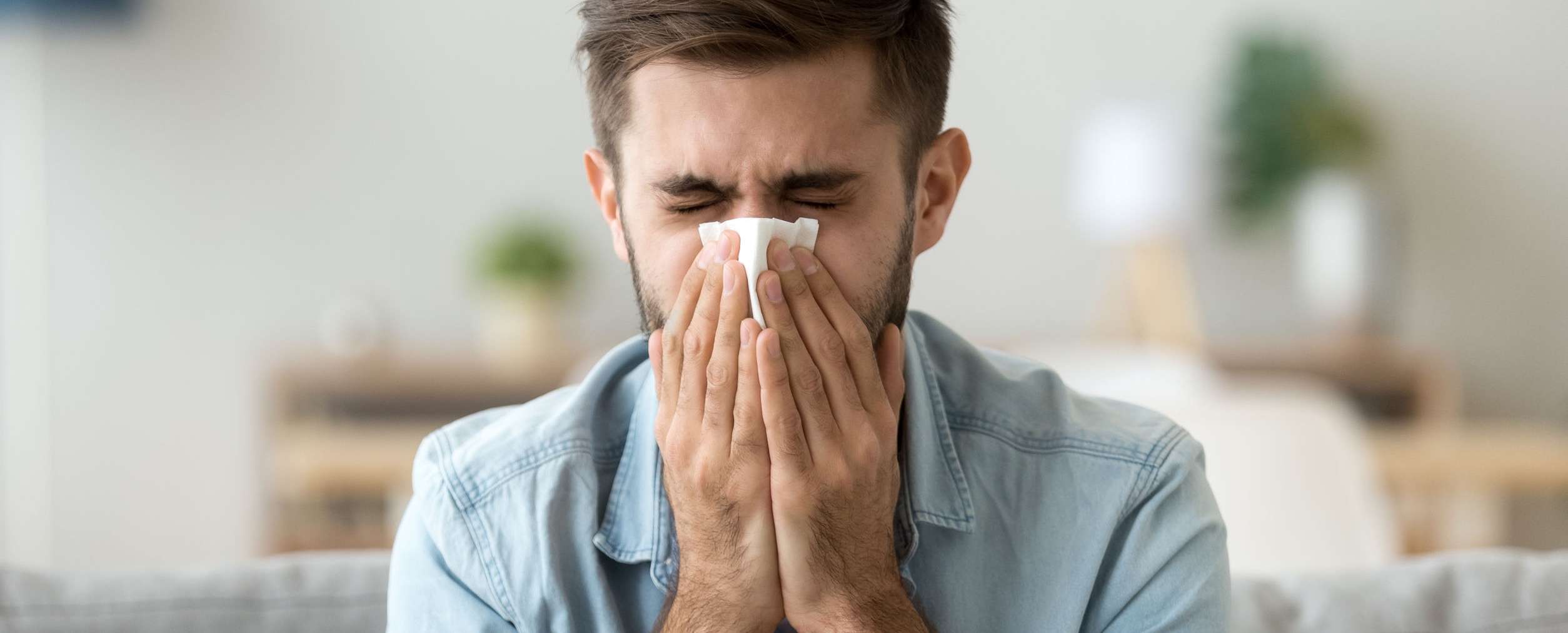 Are Your Allergies Seasonal or From Asbestos Exposure?