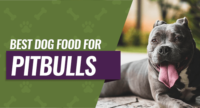 Best Dog Food for Pitbulls: 8 Picks for Puppies, Seniors ...