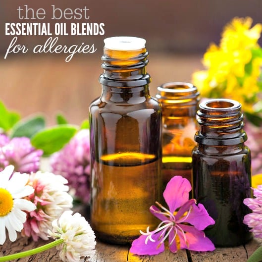 Best Essential Oils for Allergies