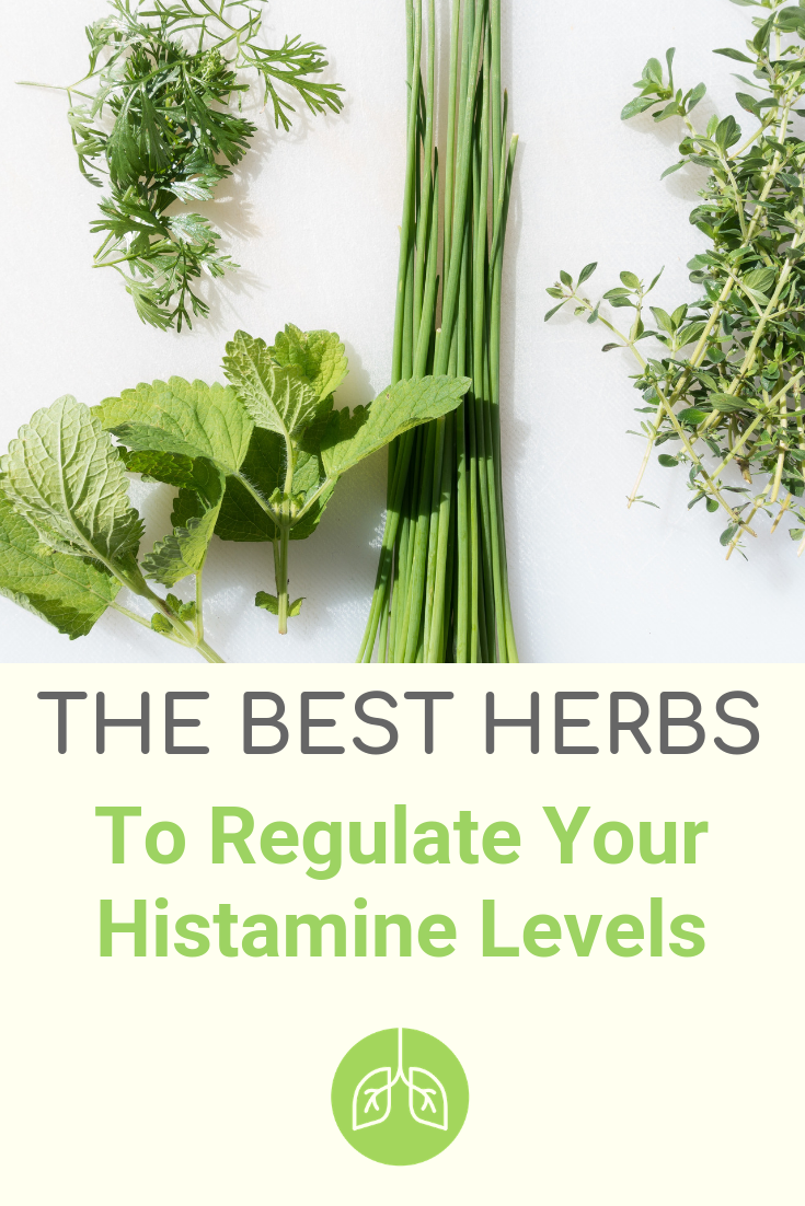 Best Herbs for Supporting Healthy Histamine Levels