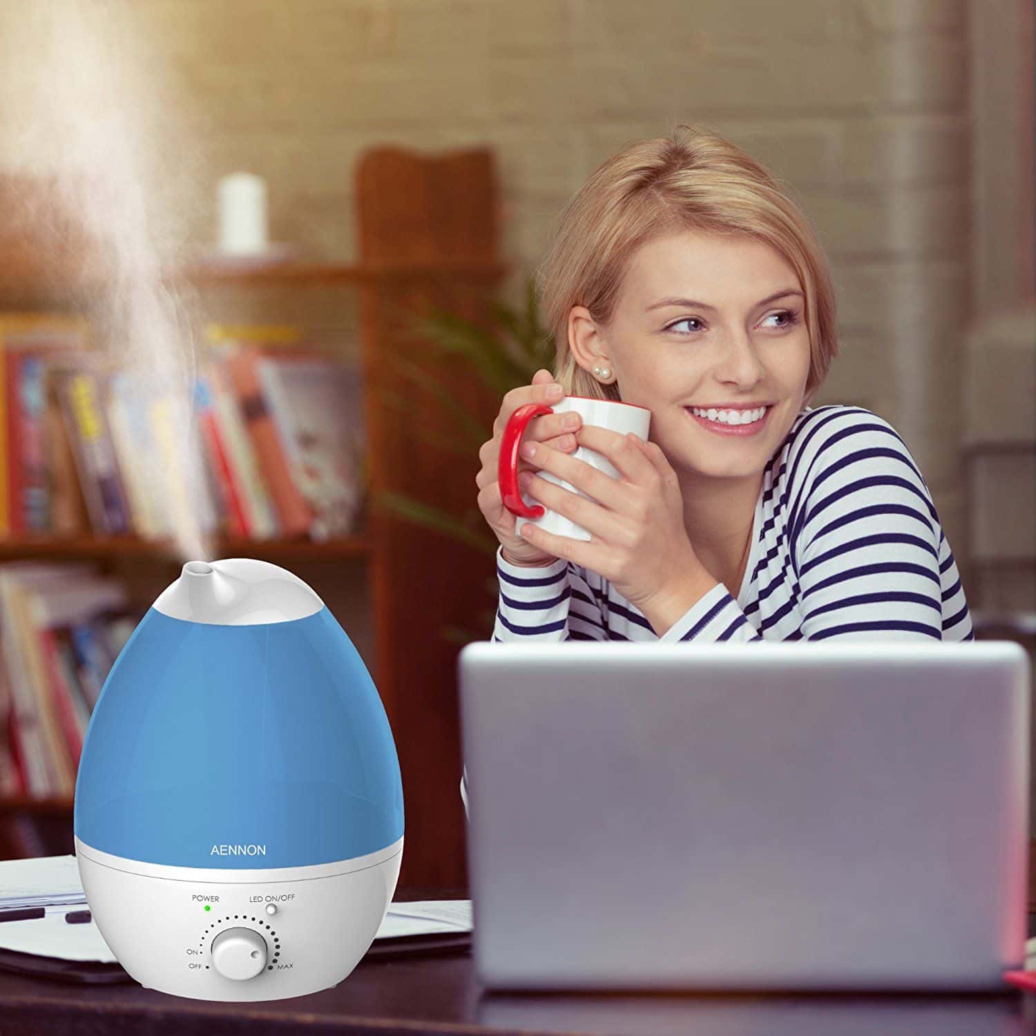 Best Humidifier For Allergies