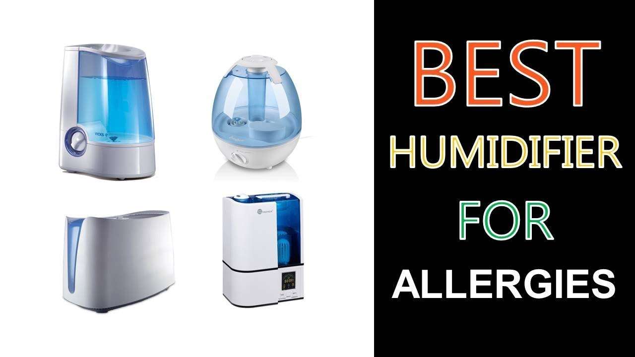 Best Humidifier for Allergies