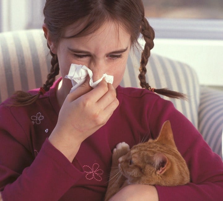 BEYOND LOCAL: Sniffles and itchy eyes in winter? It could be allergies ...