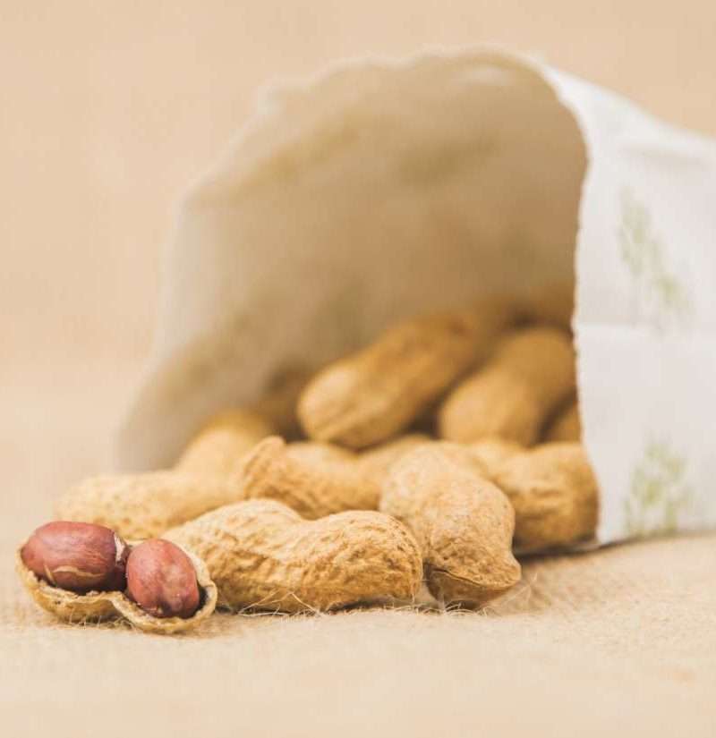 breakthrough treatment for peanut allergy awaits fda check