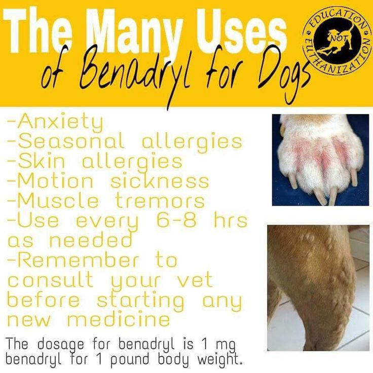 Bully bumps? Allergic reaction? Swelling? Here is the many uses of ...